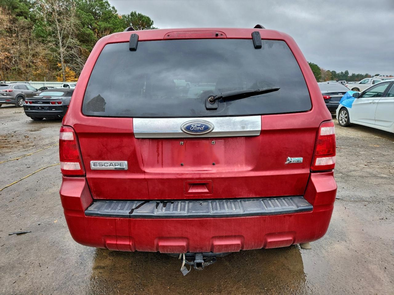 2010 FORD ESCAPE LIMITED photo 6