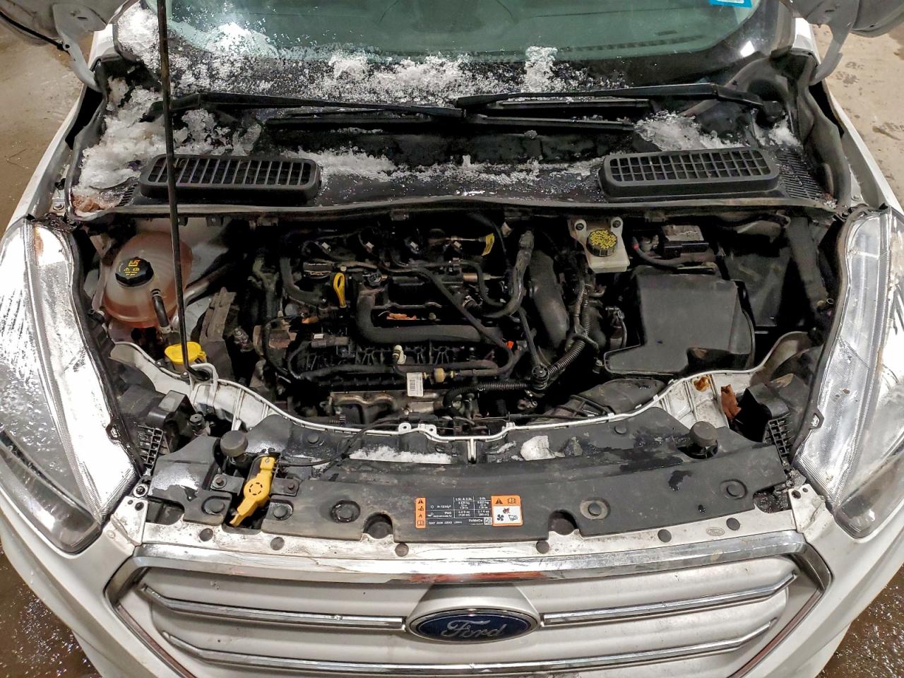 2019 FORD ESCAPE SE photo 12