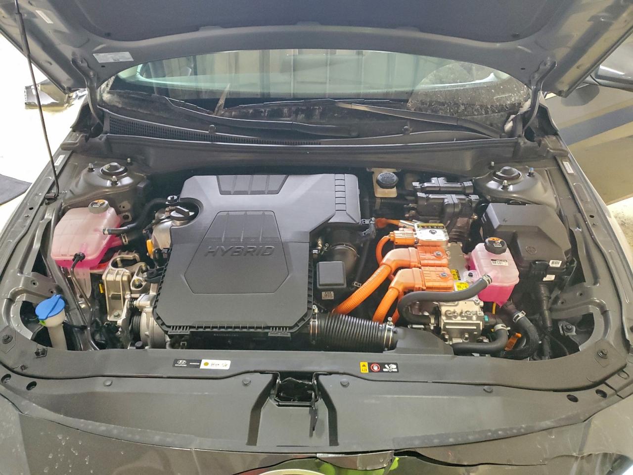 2025 HYUNDAI ELANTRA LIMITED photo 11