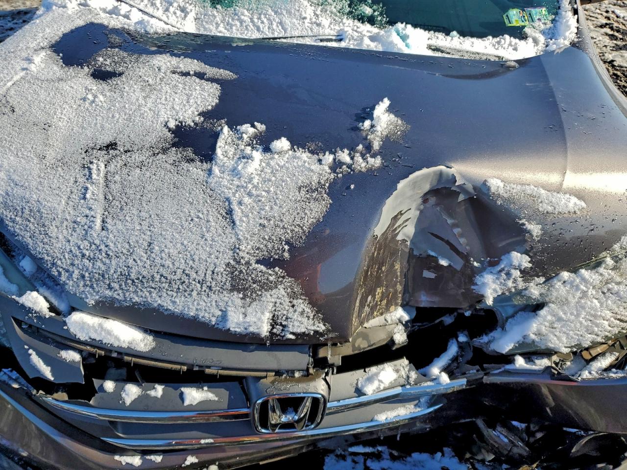 2013 HONDA CR-V EXL photo 12