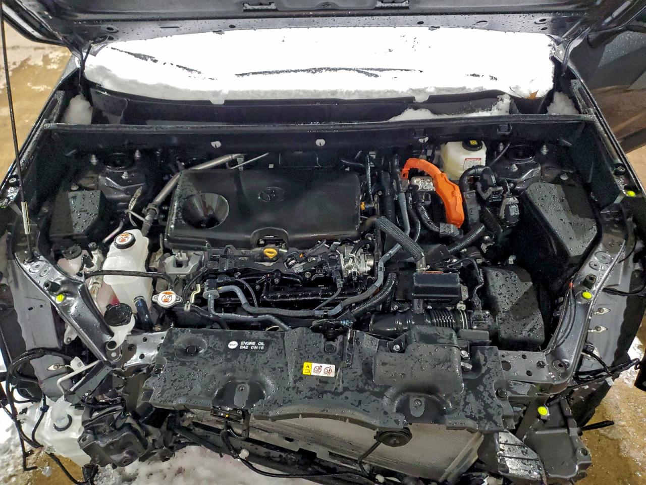2025 TOYOTA RAV4 LE photo 12