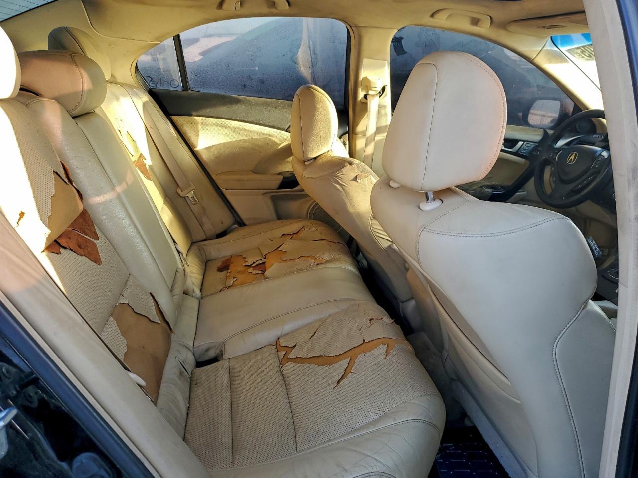 2009 ACURA TSX photo 10
