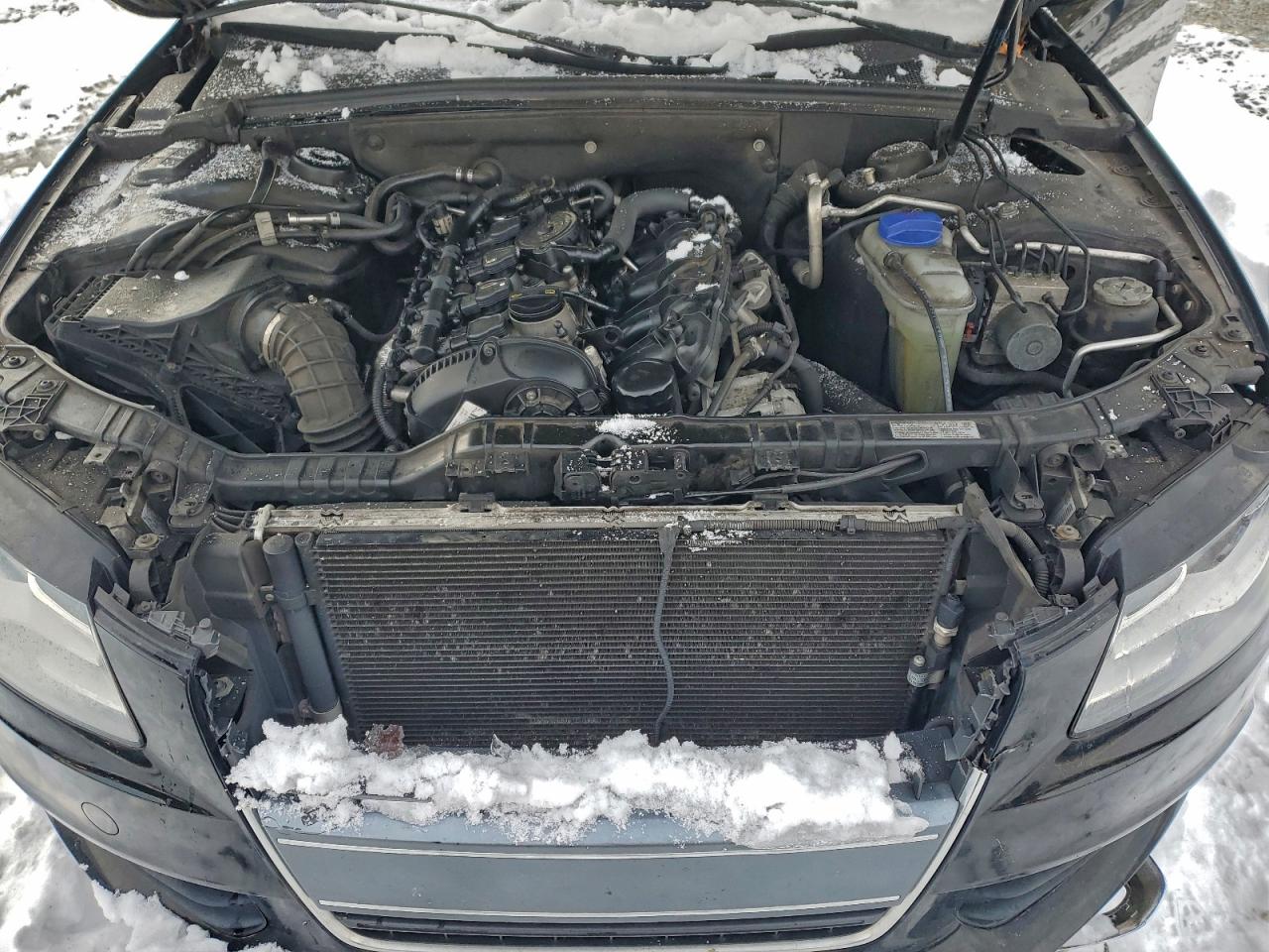 2010 AUDI A4 PREMIUM PLUS photo 11
