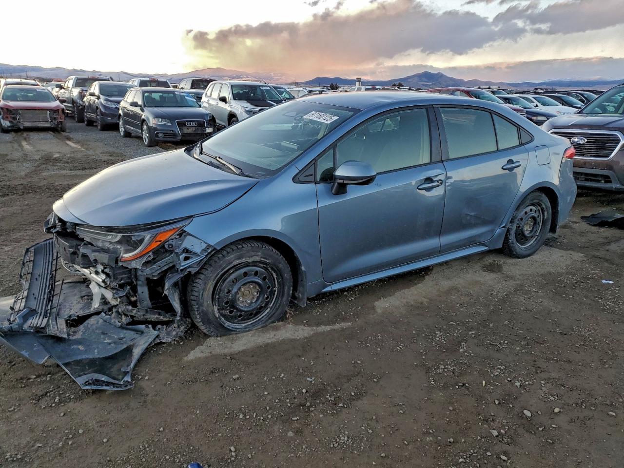 2024 TOYOTA COROLLA
