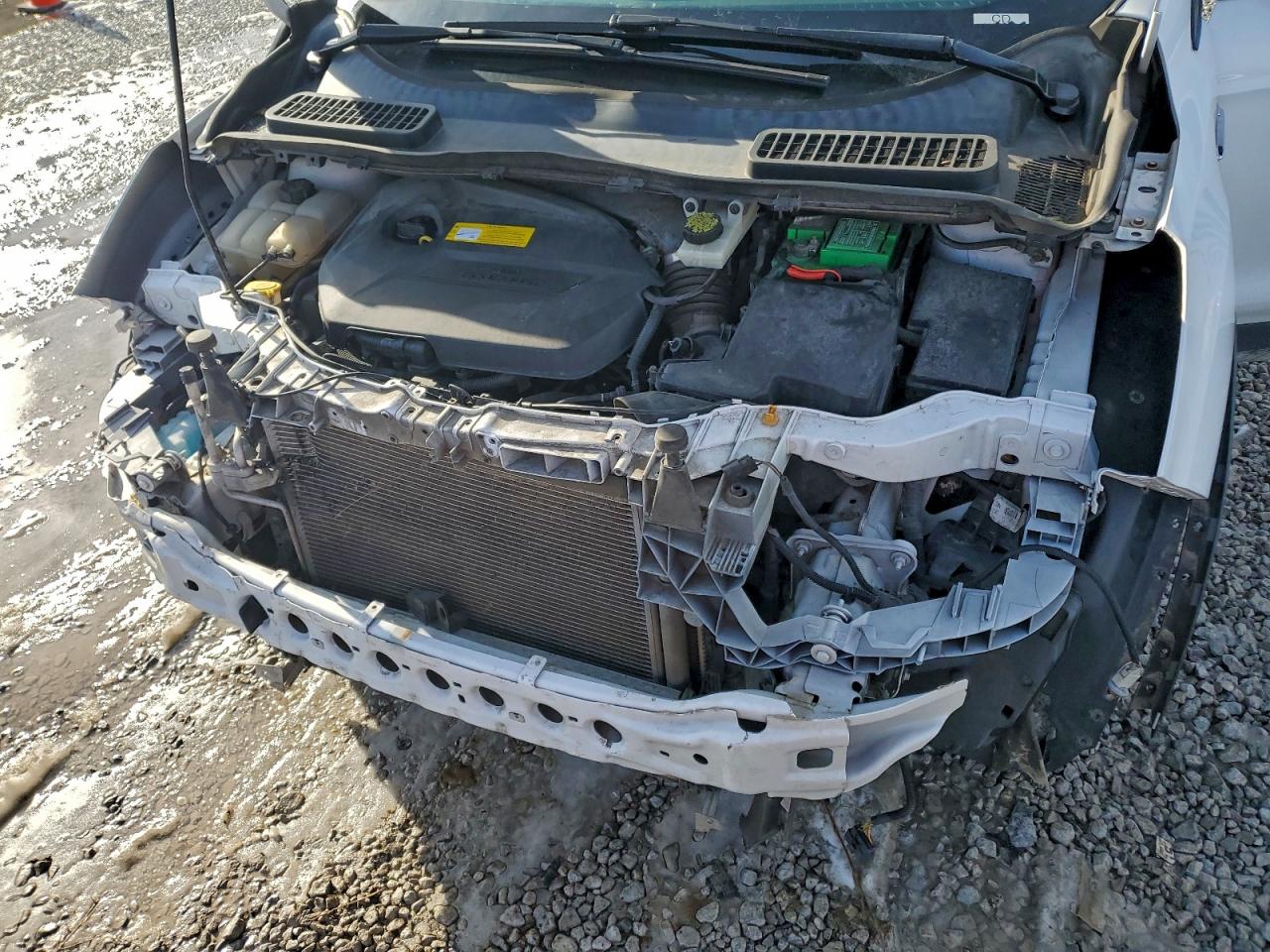 2015 FORD ESCAPE SE photo 12