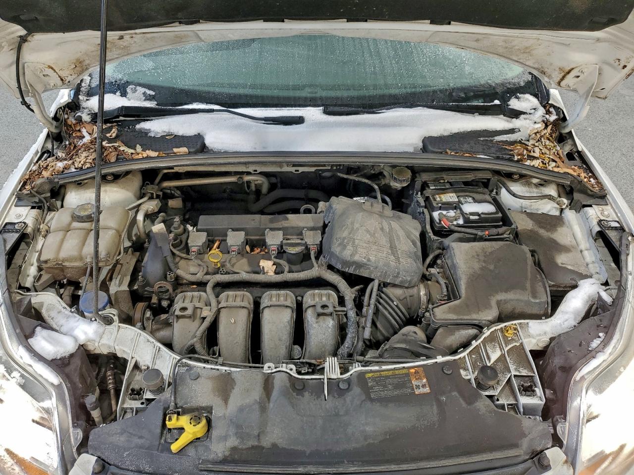 2014 FORD FOCUS SE photo 11