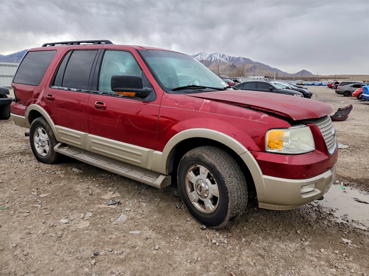 2006 FORD EXPEDITION EDDIE BAUER photo 7