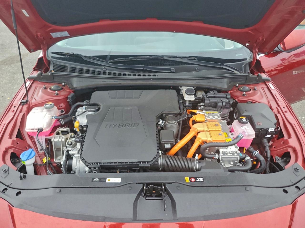 2024 HYUNDAI ELANTRA photo 11