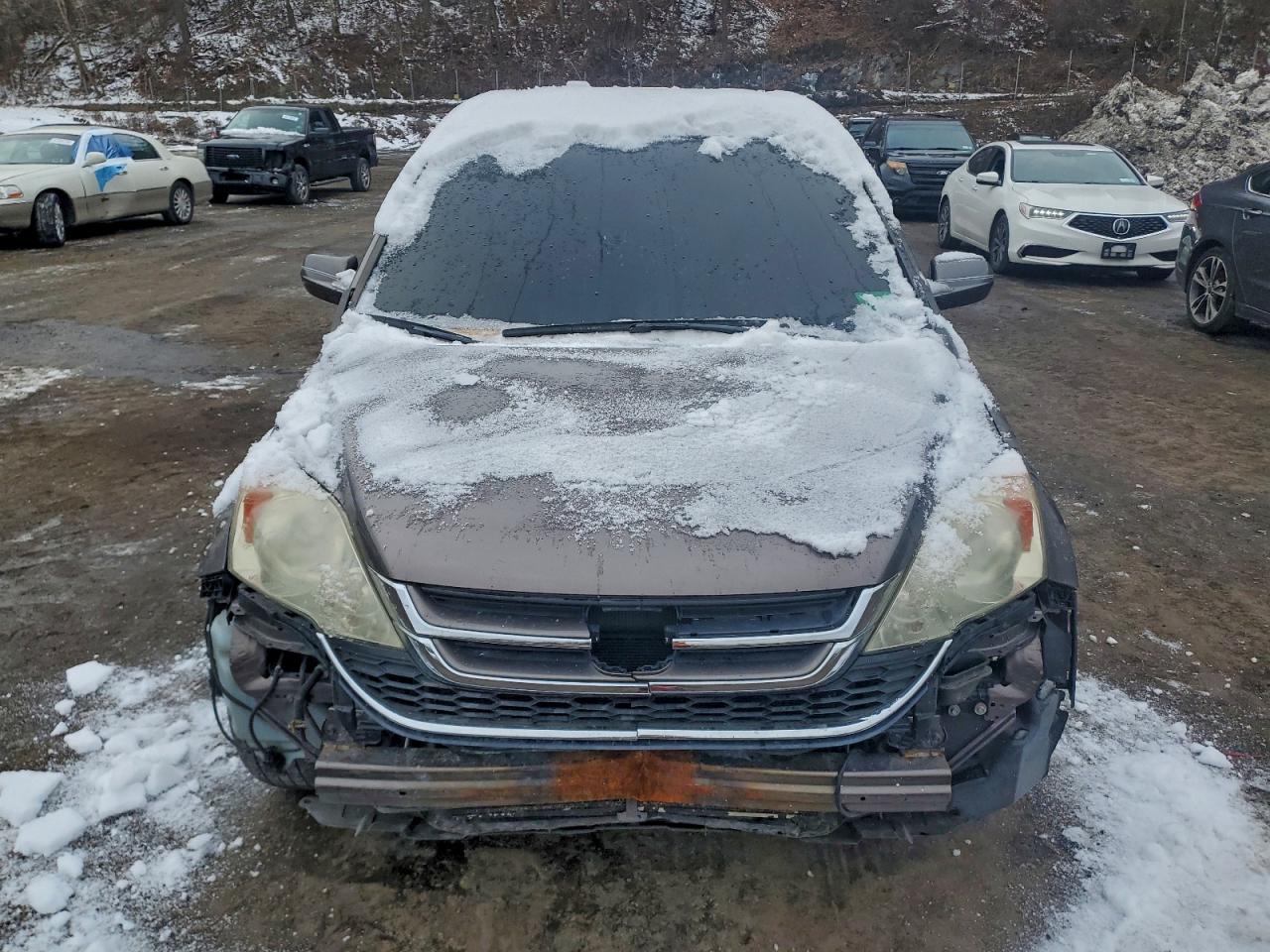 2011 HONDA CR-V EXL photo 5