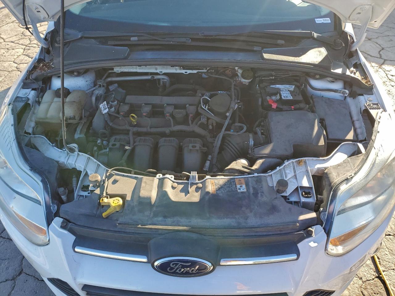 2014 FORD FOCUS SE photo 11