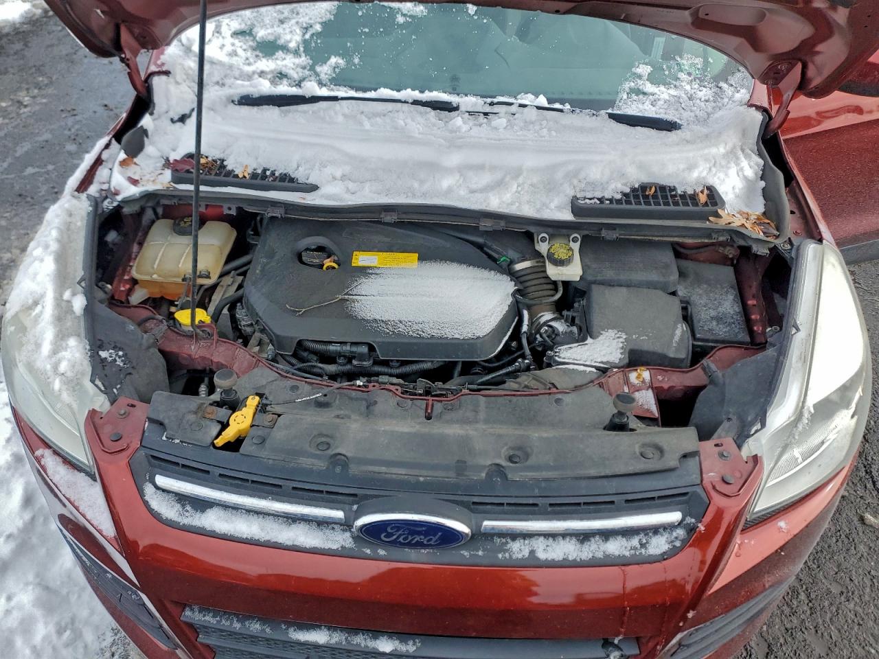 2015 FORD ESCAPE SE photo 11