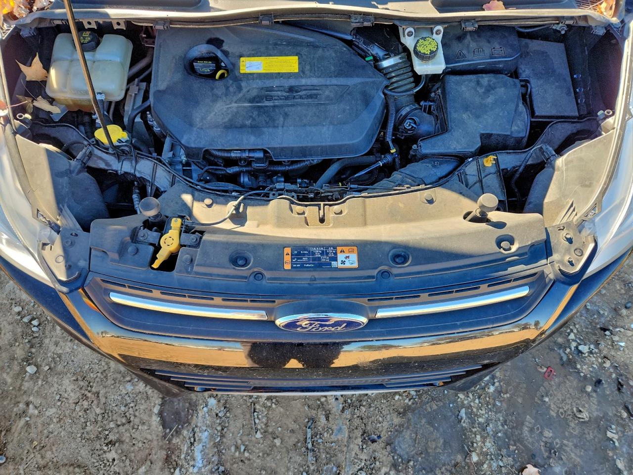 2016 FORD ESCAPE SE photo 12