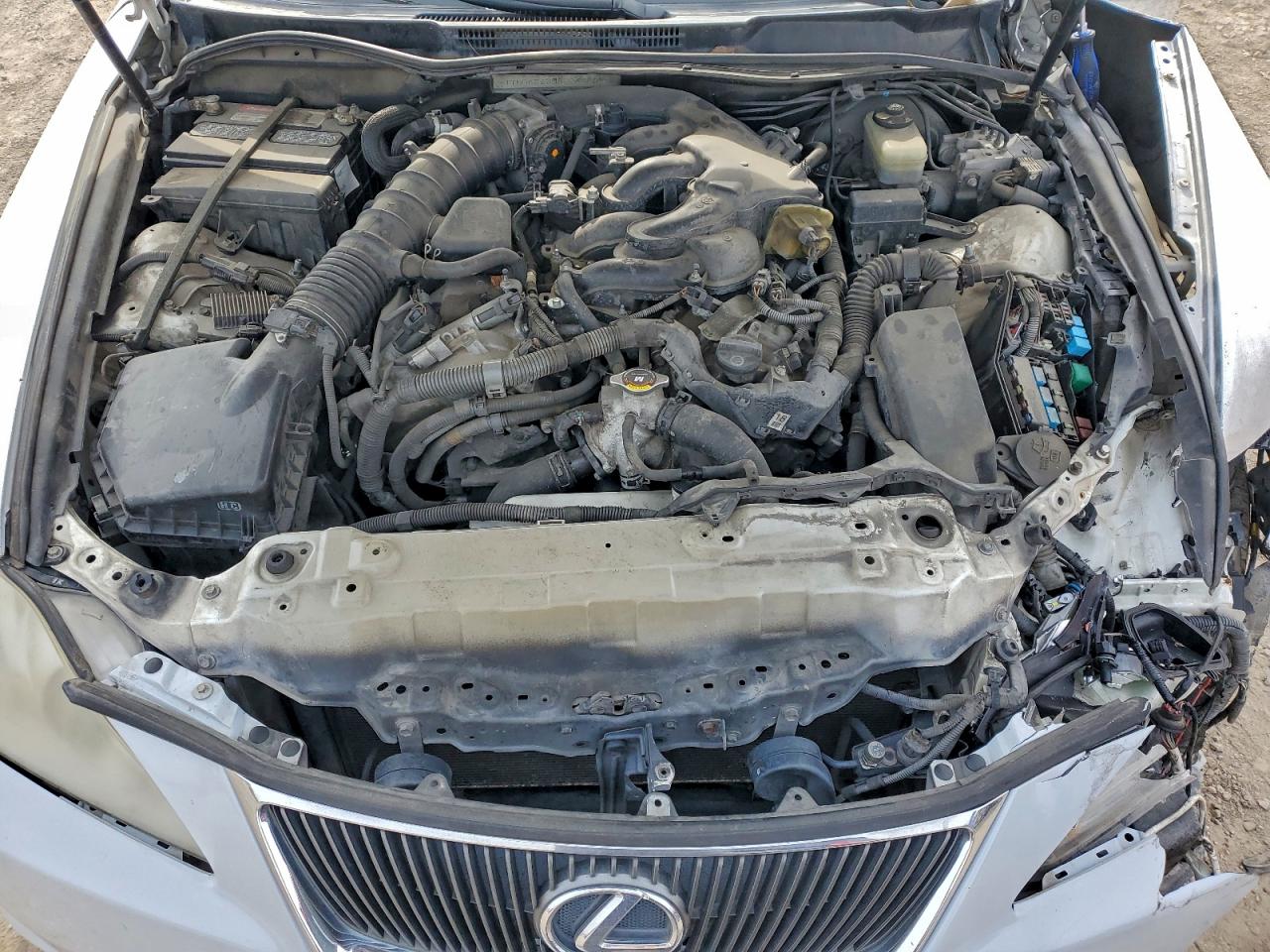 2008 LEXUS IS 250 photo 11