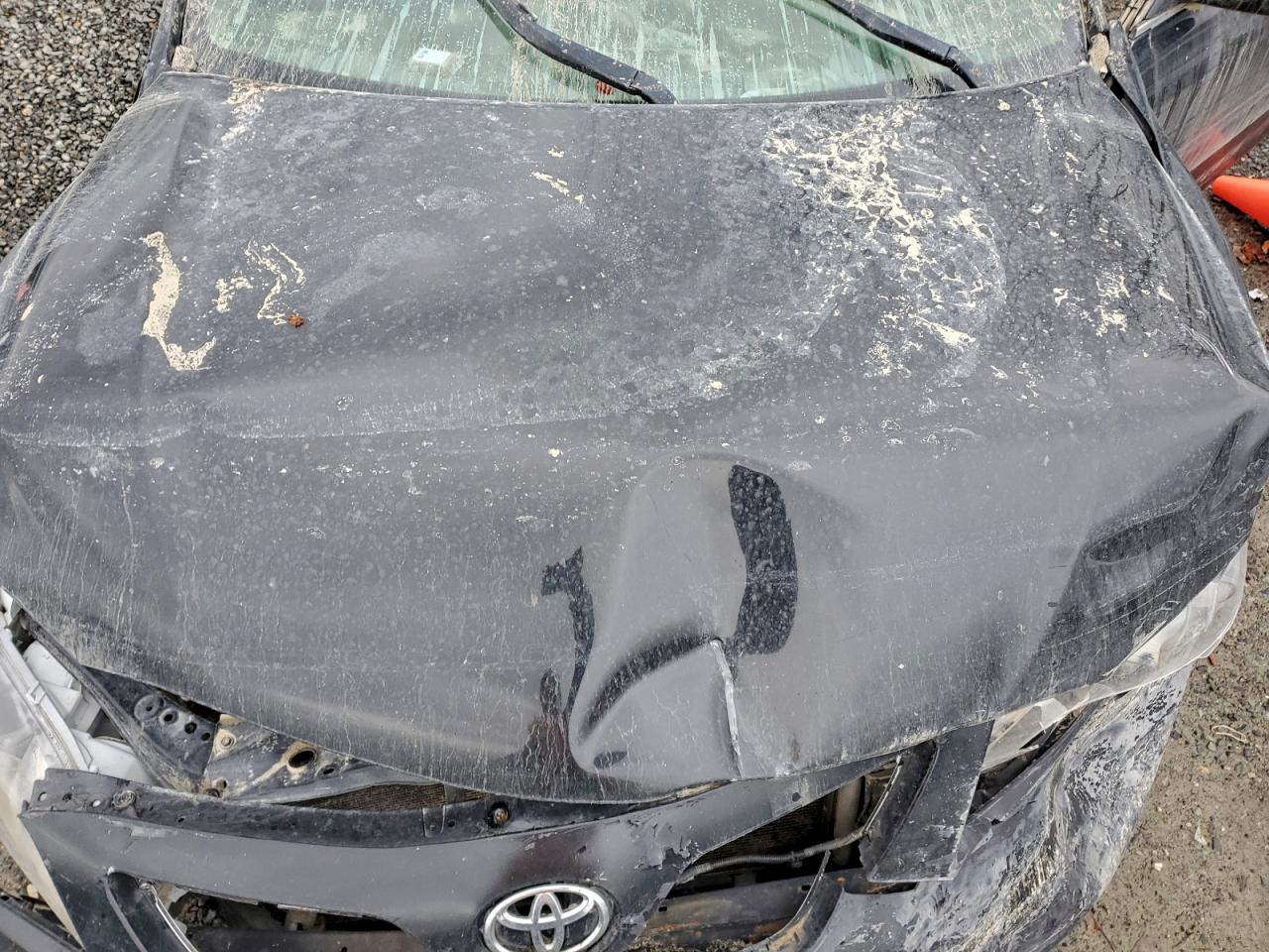 2009 TOYOTA CAMRY BASE photo 12