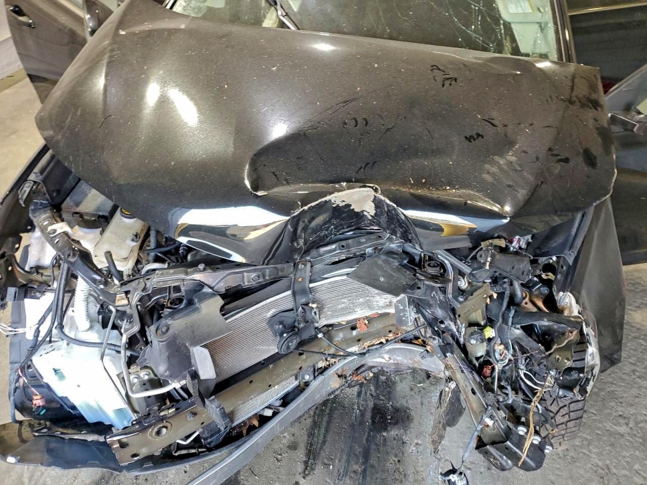 2017 TOYOTA RAV4 XLE photo 12