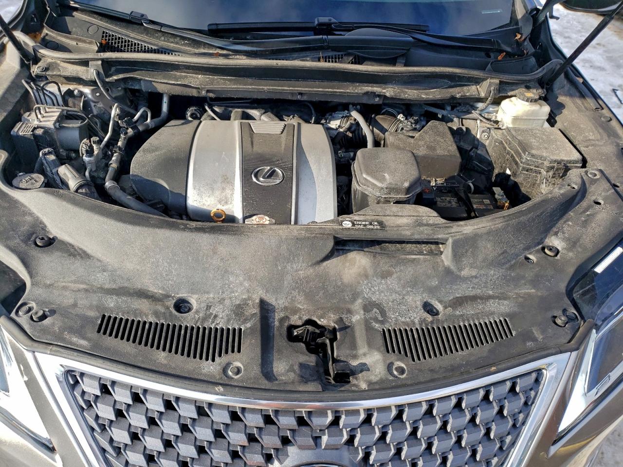 2020 LEXUS RX 350 photo 12