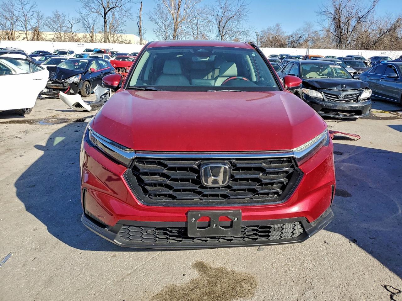 2025 HONDA CR-V EXL photo 5