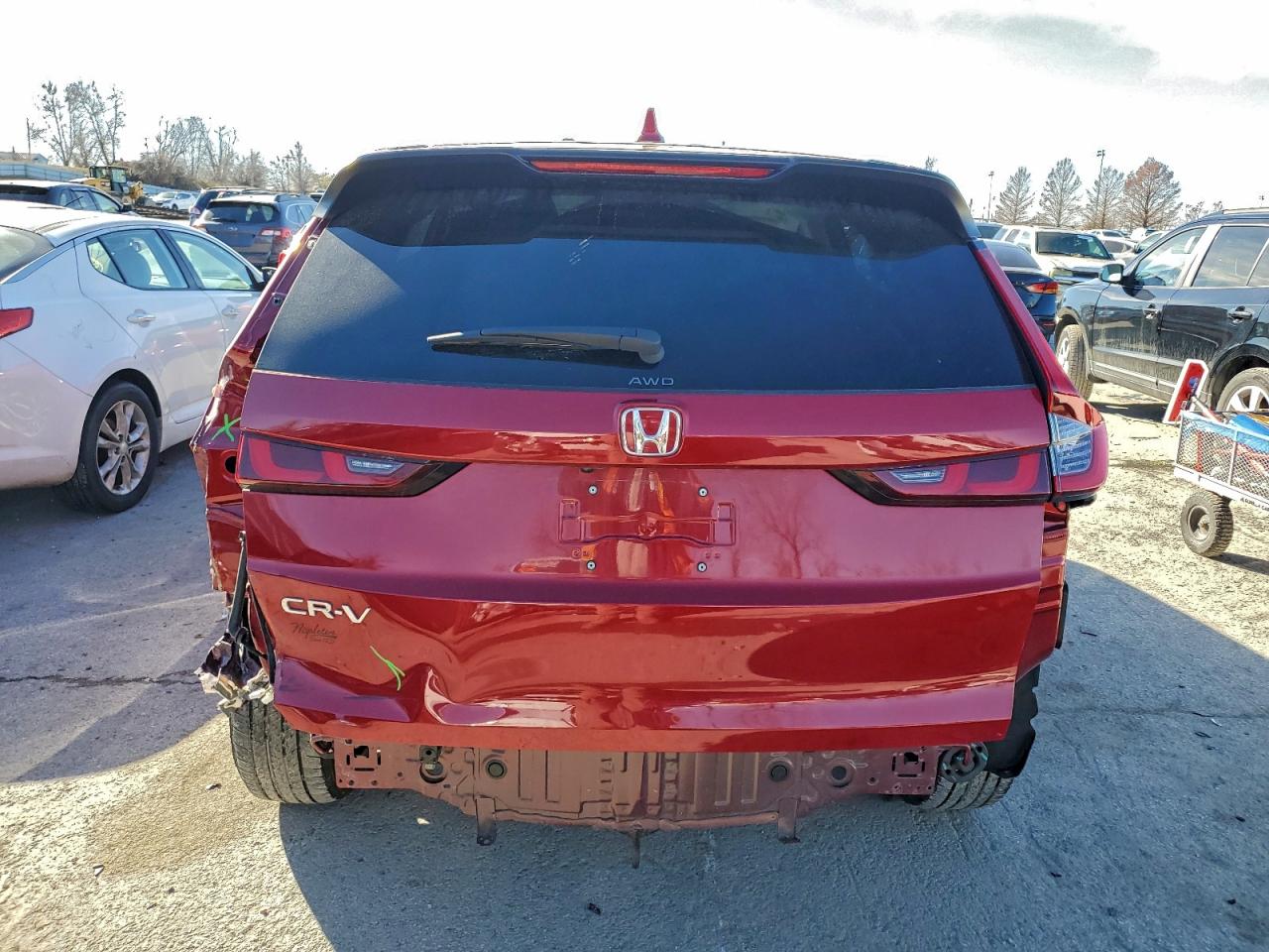 2025 HONDA CR-V EXL photo 6
