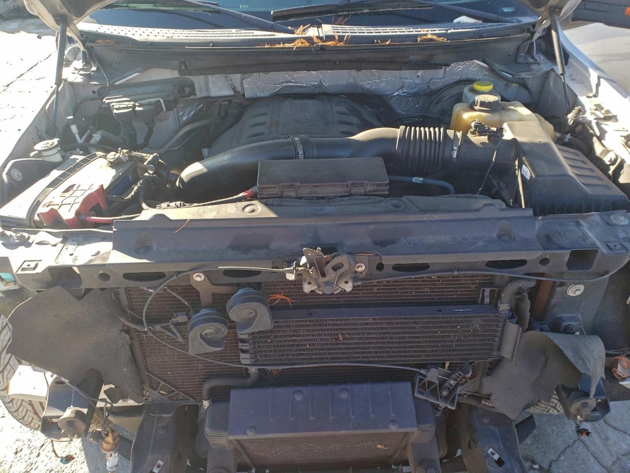 2014 FORD F150 SUPERCREW photo 11