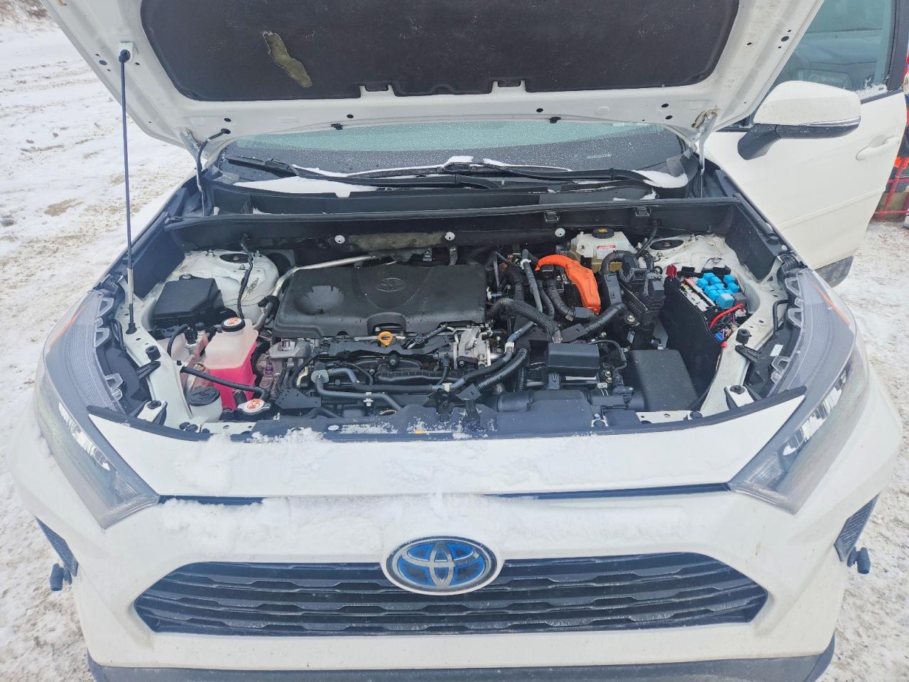 2019 TOYOTA RAV4 LE photo 12