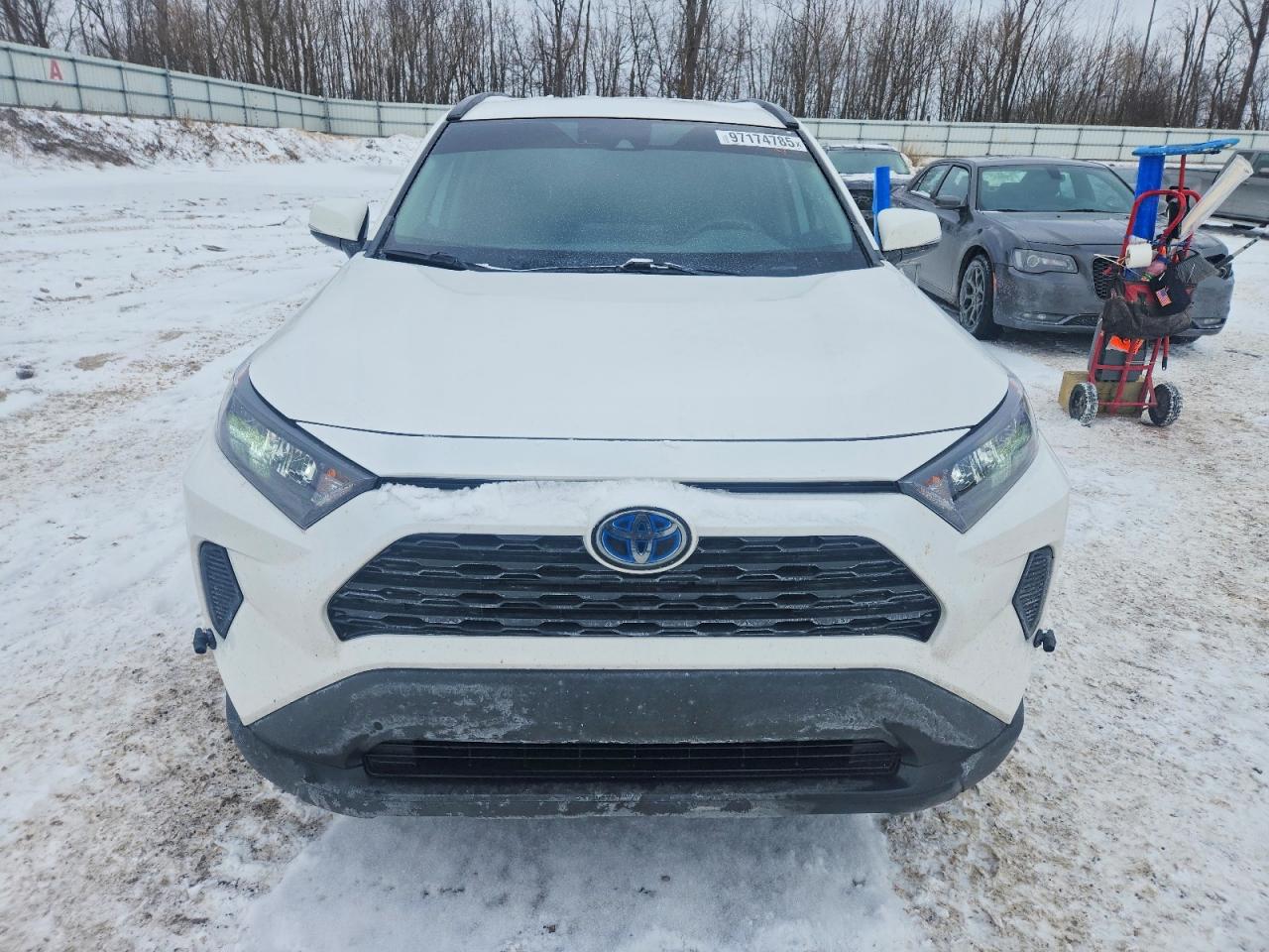 2019 TOYOTA RAV4 LE photo 5