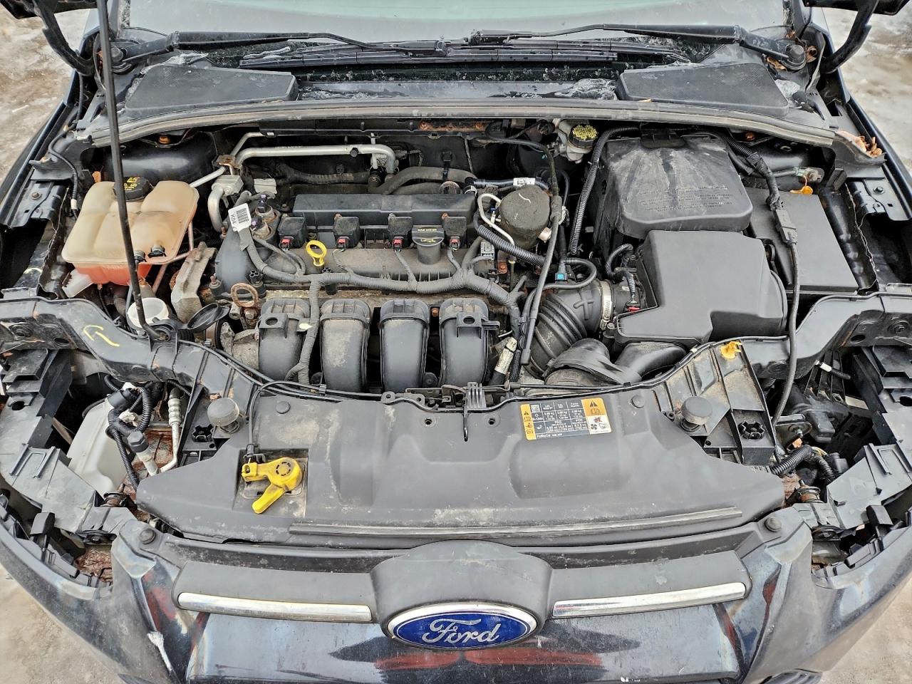 2014 FORD FOCUS SE photo 11
