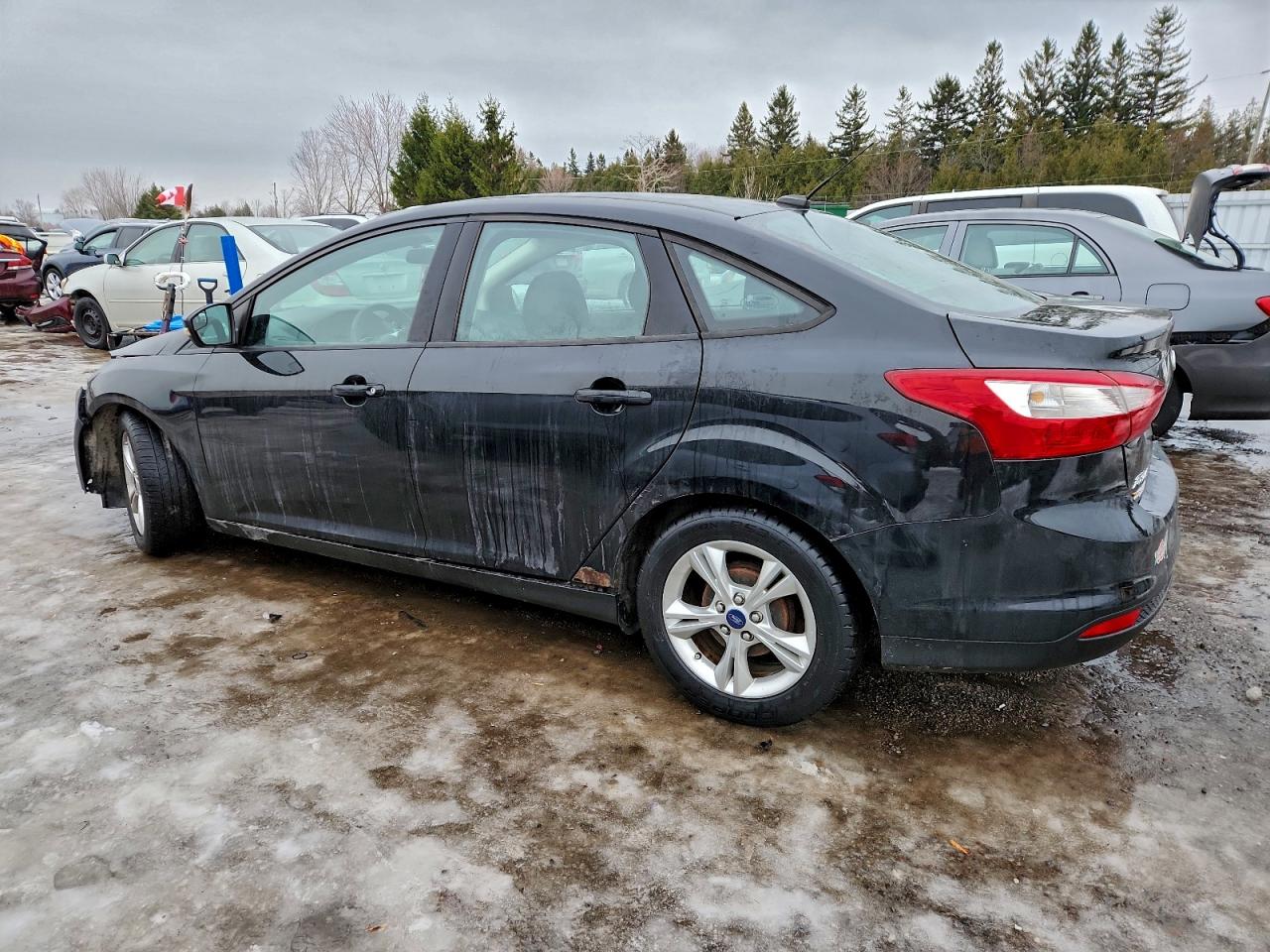 2014 FORD FOCUS SE photo 2