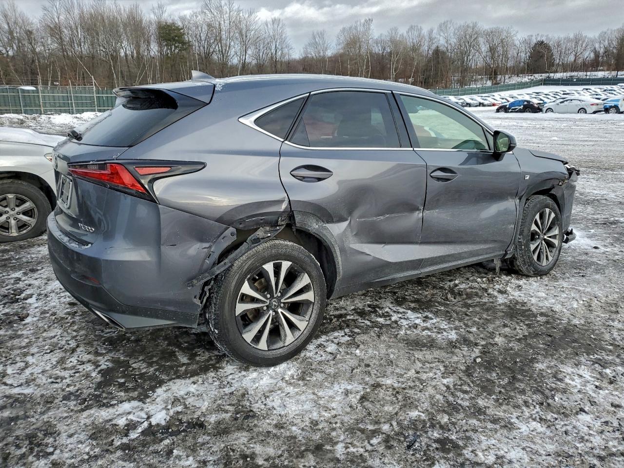 2021 LEXUS NX 300 BASE photo 3