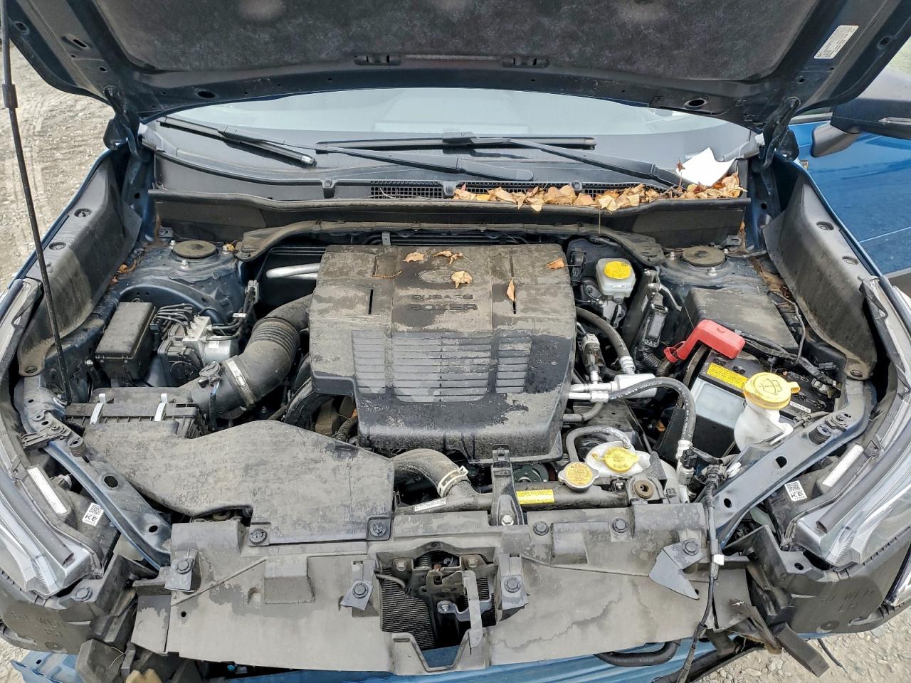 2022 SUBARU FORESTER WILDERNESS photo 11