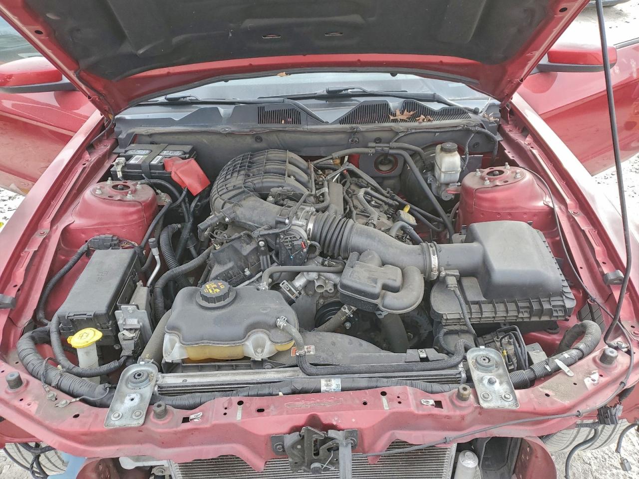 2013 FORD MUSTANG photo 11