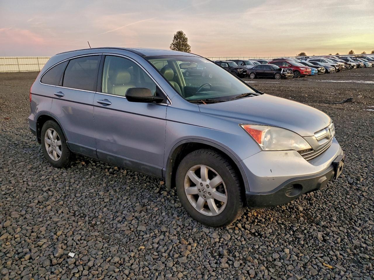 2009 HONDA CR-V EXL photo 4