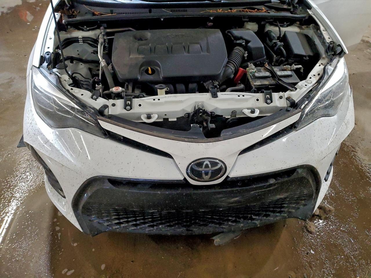 2019 TOYOTA COROLLA L photo 11