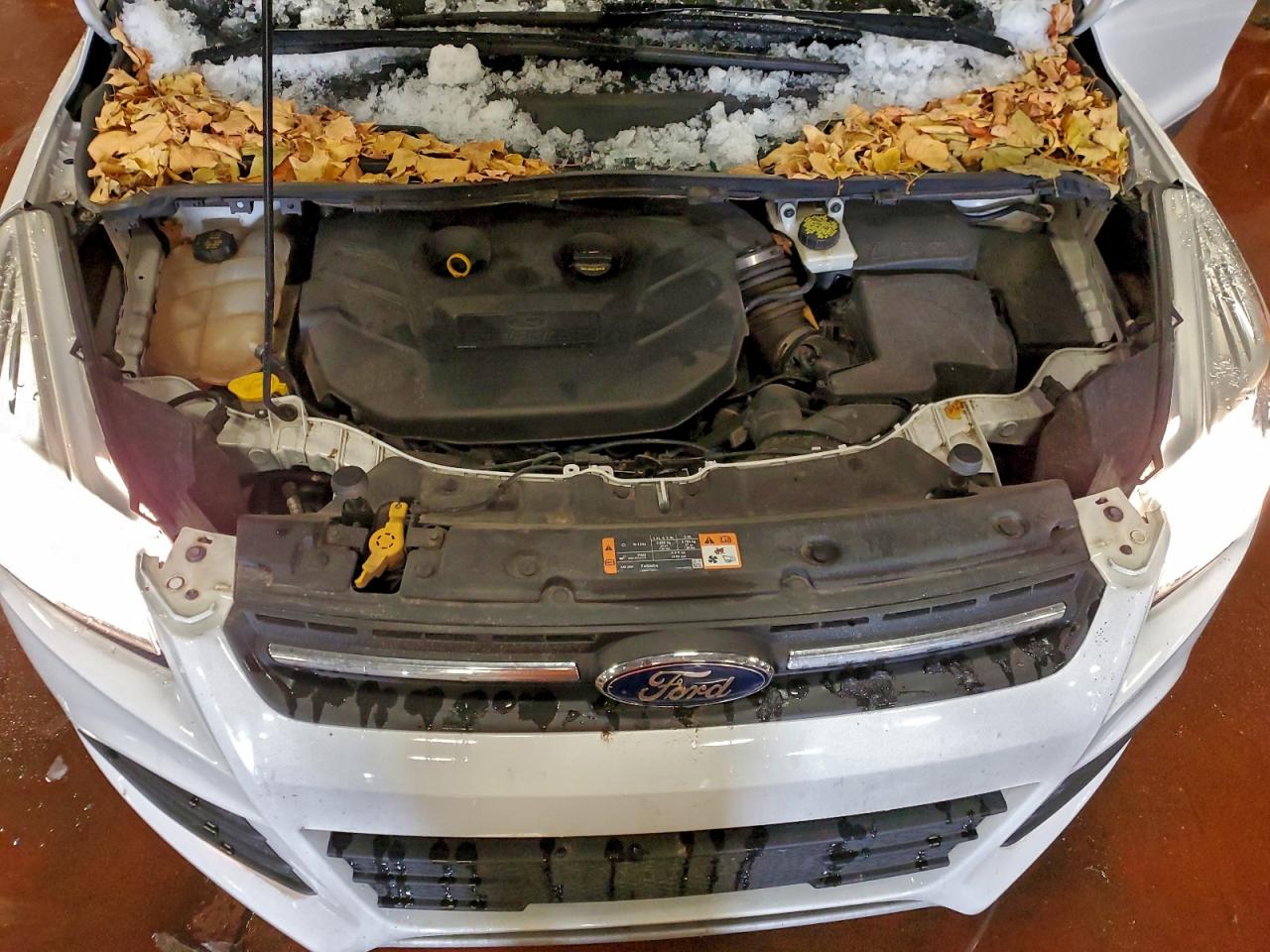2016 FORD ESCAPE SE photo 12