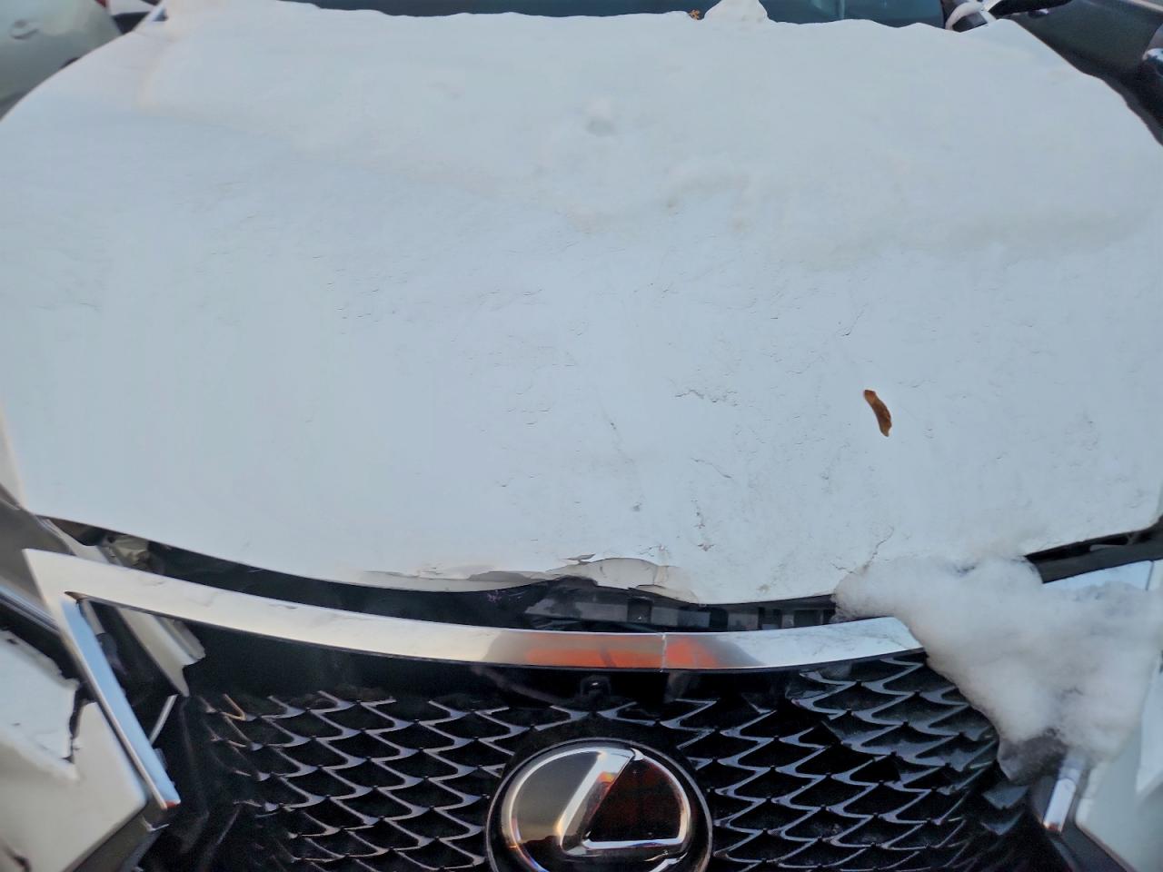 2017 LEXUS RX 350 BASE photo 12