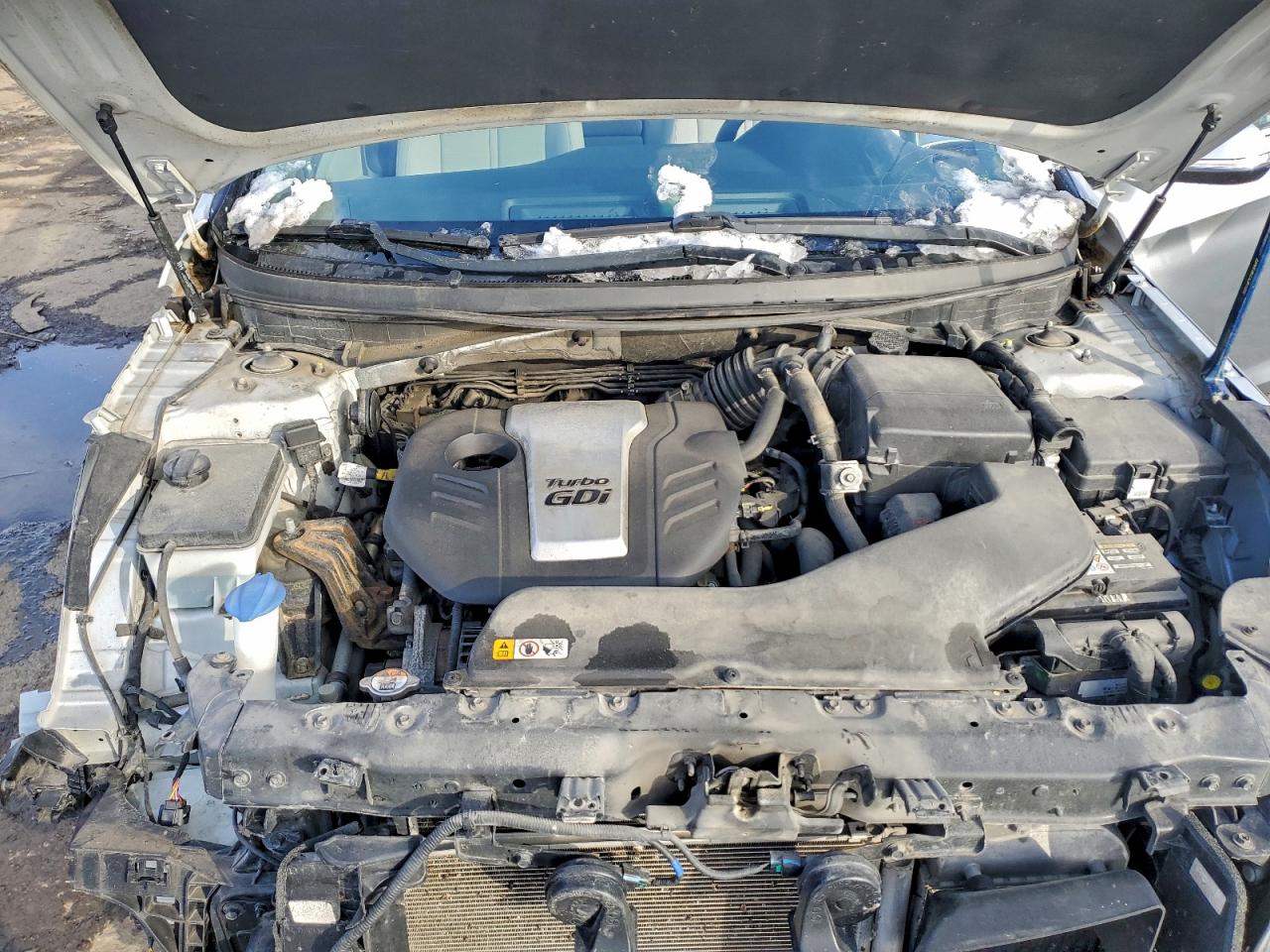 2015 HYUNDAI SONATA ECO photo 11