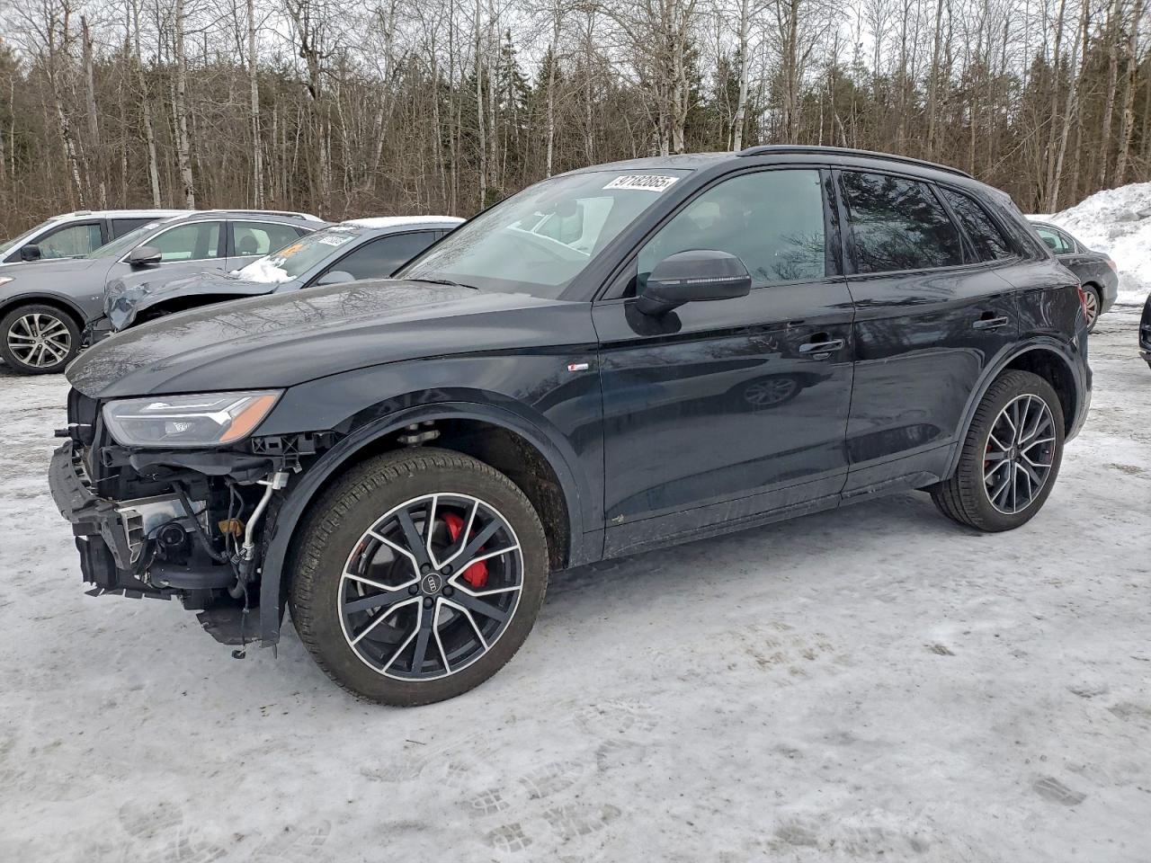 2025 AUDI Q5