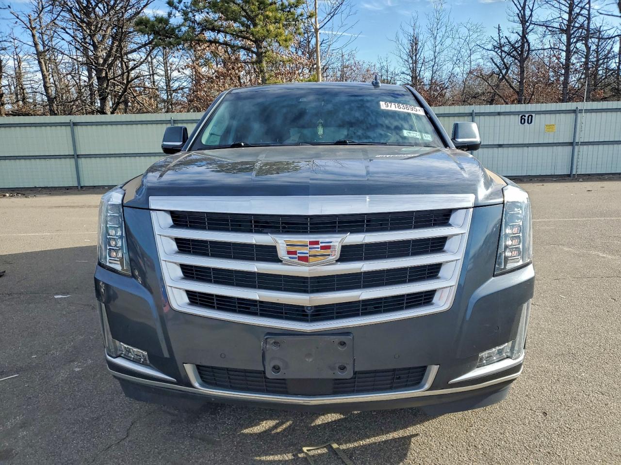 2019 CADILLAC ESCALADE ESV PREMIUM LUXURY photo 5