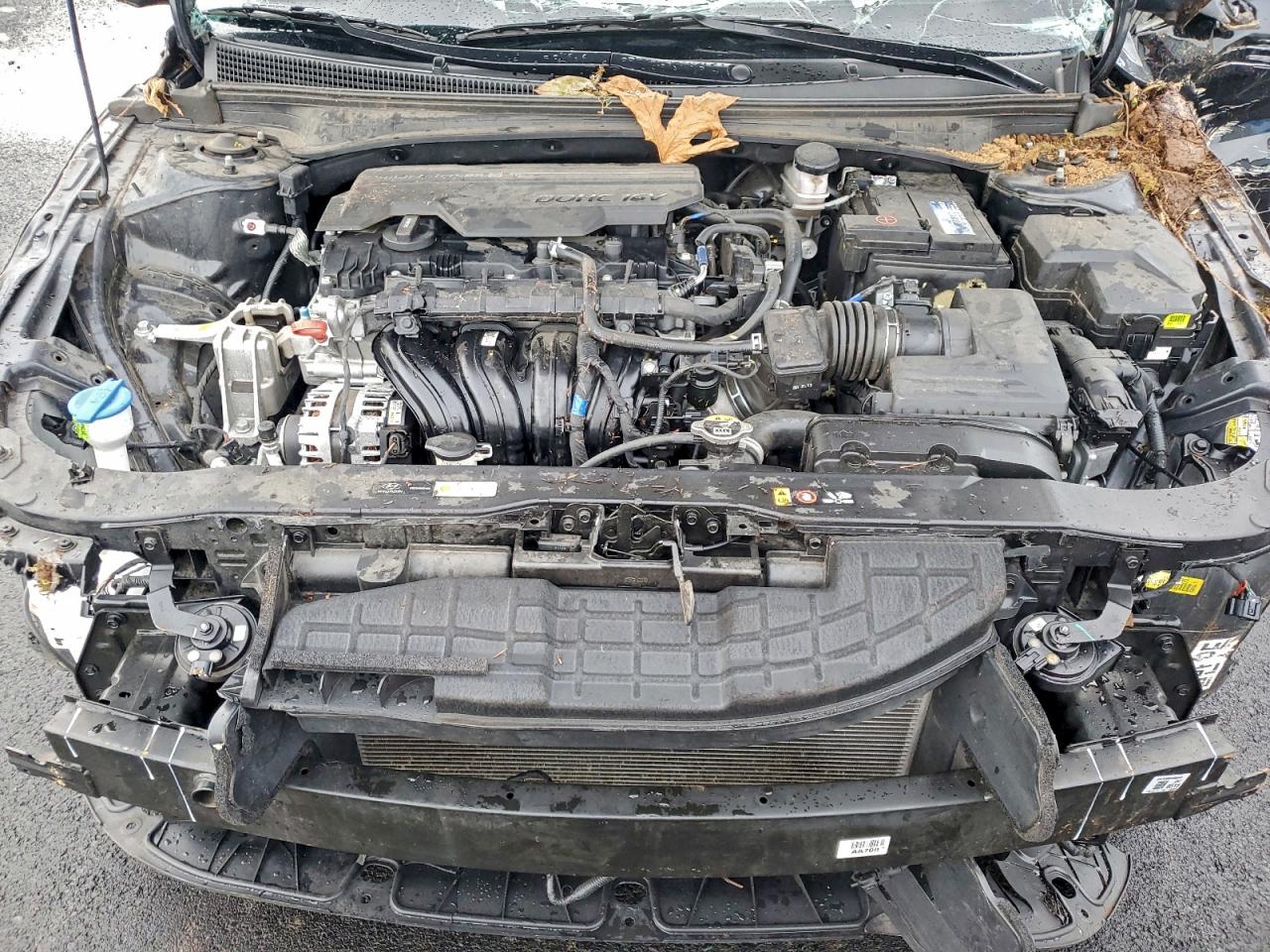 2024 HYUNDAI ELANTRA SEL photo 11