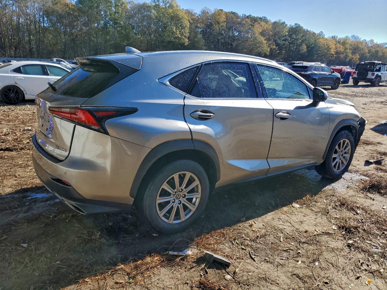 2020 LEXUS NX 300 photo 3