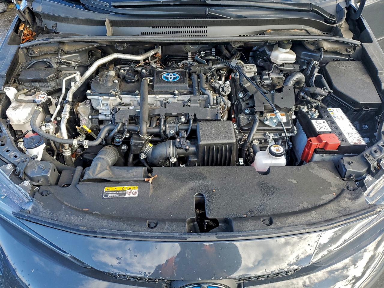 2023 TOYOTA COROLLA LE photo 11