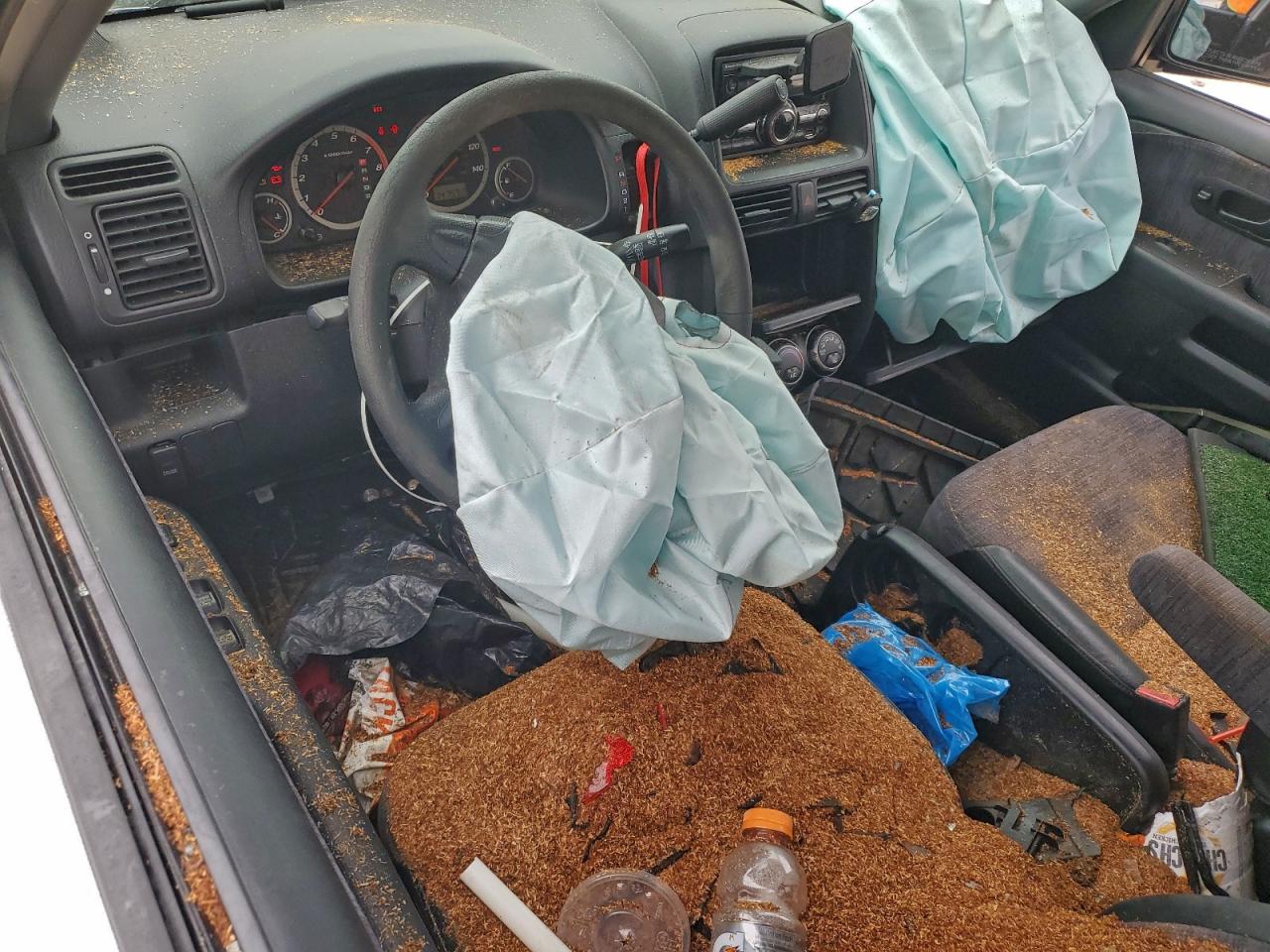 2004 HONDA CR-V LX photo 8