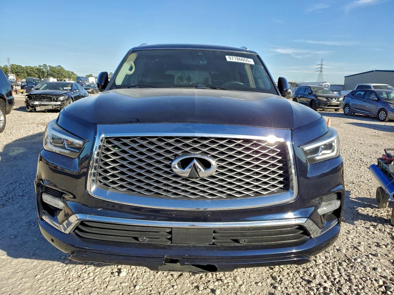 2019 INFINITI QX80 LUXE photo 5