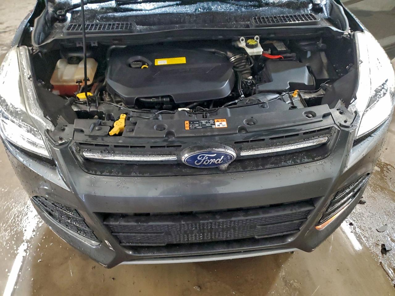 2016 FORD ESCAPE SE photo 12