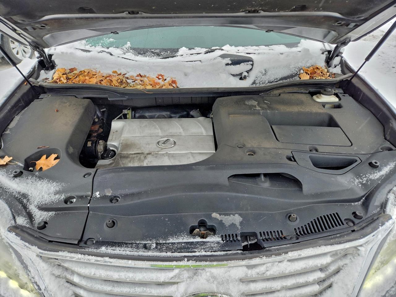 2013 LEXUS RX 350 BASE photo 12