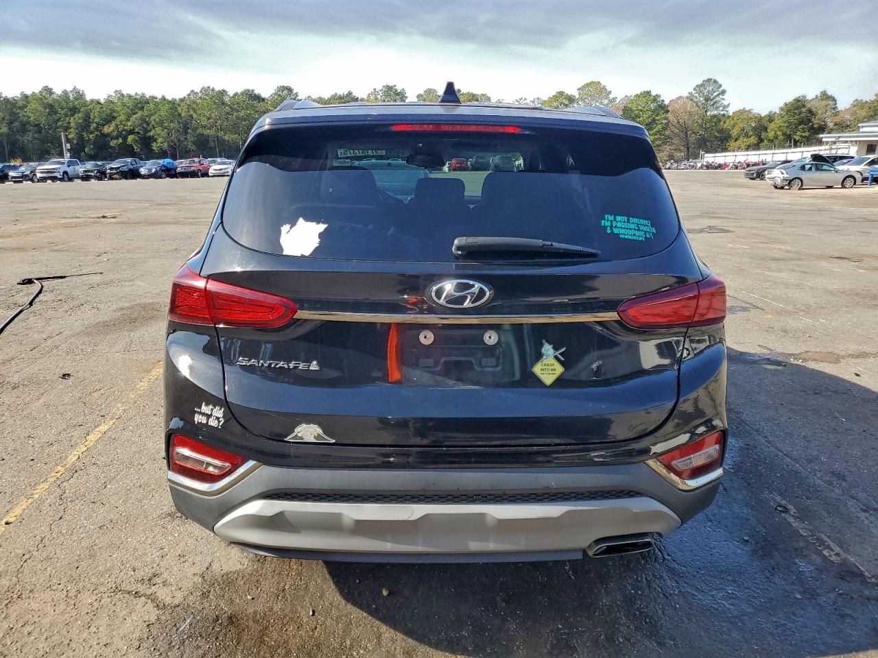 2019 HYUNDAI SANTA FE SEL photo 6