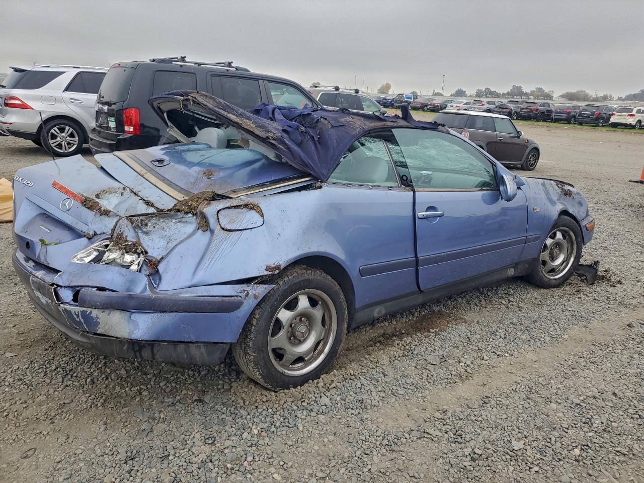 1999 MERCEDES-BENZ CLK 320 photo 3