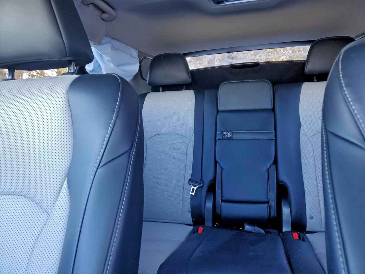 2022 LEXUS RX 350 photo 10