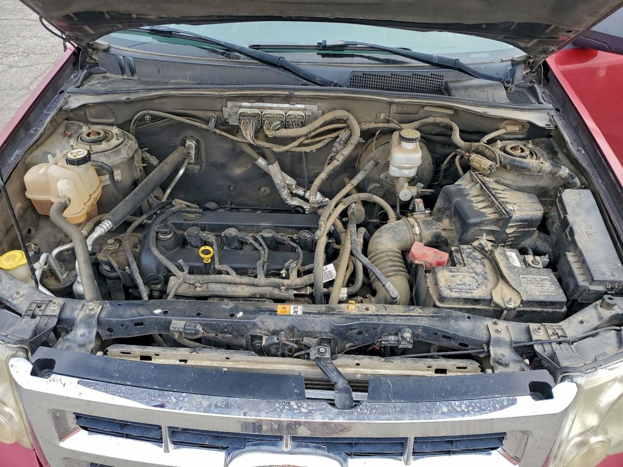 2010 FORD ESCAPE XLT photo 11