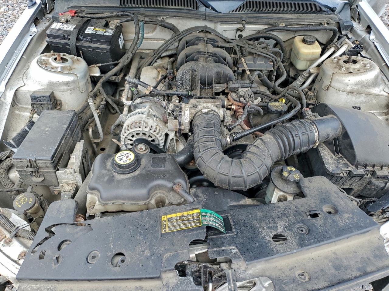 2008 FORD MUSTANG photo 11