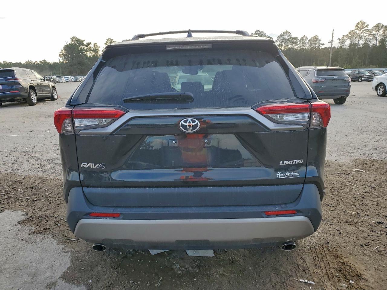 2025 TOYOTA RAV4 LIMITED photo 6
